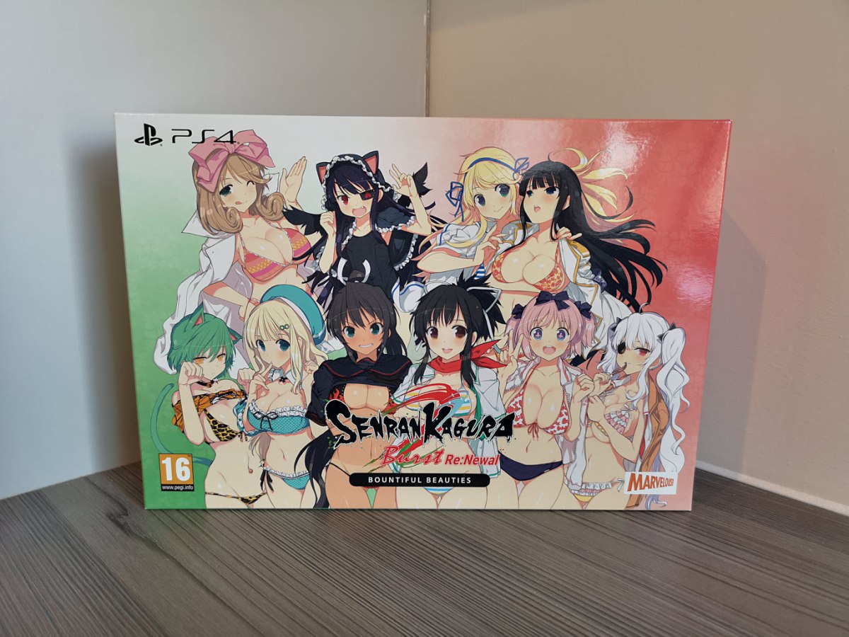 Senran Kagura Burst Re:Newal launches January 18, 2019 for PS4 in